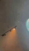 vanessa.rhd Altpins Profile Picture