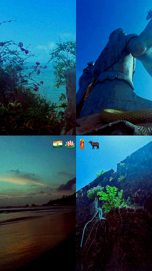 orman.mariee archive video preview
