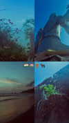 orman.mariee Altpins Profile Picture