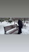 caandyfliip Altpins Profile Picture