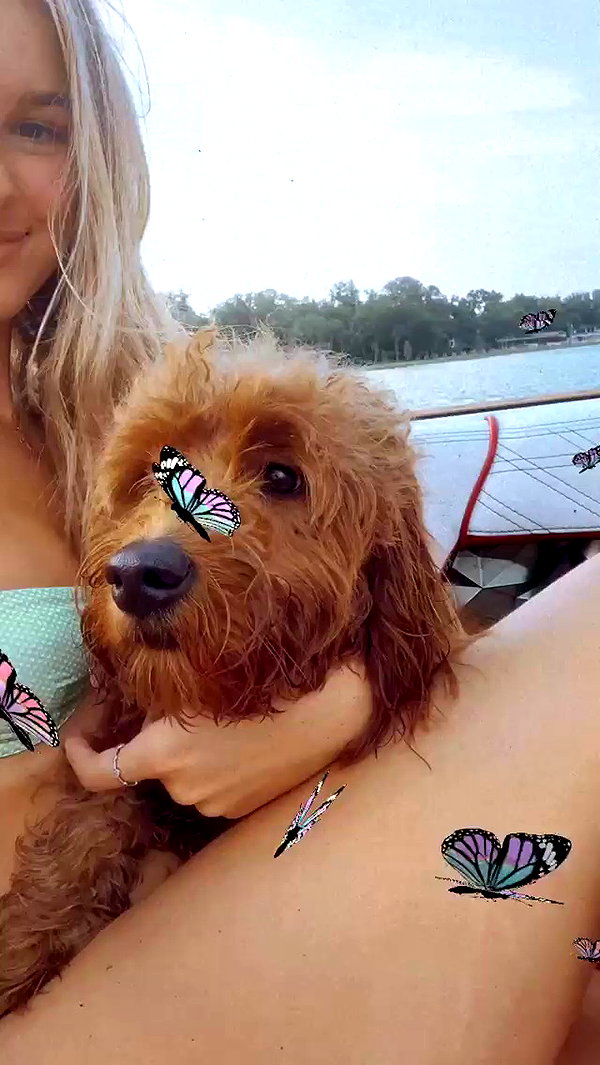 taylorballarddd archive video preview