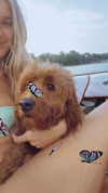taylorballarddd Altpins Profile Picture
