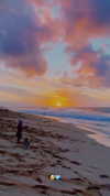 pia__kim Altpins Profile Picture