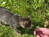xeiyza Altpins Profile Picture