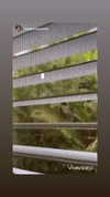lior_levrun Altpins Profile Picture