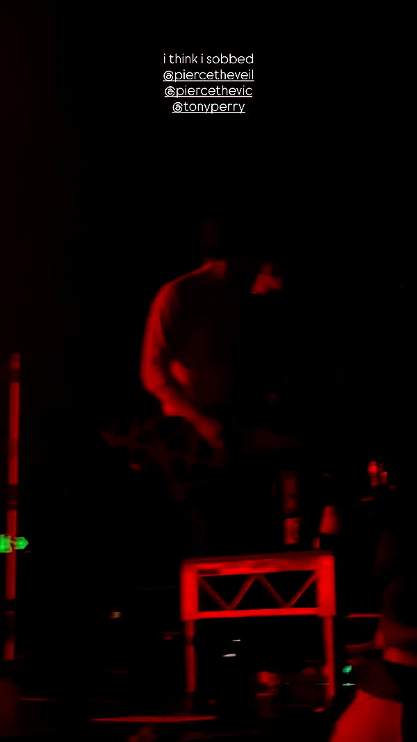 fungusfr0g archive video preview