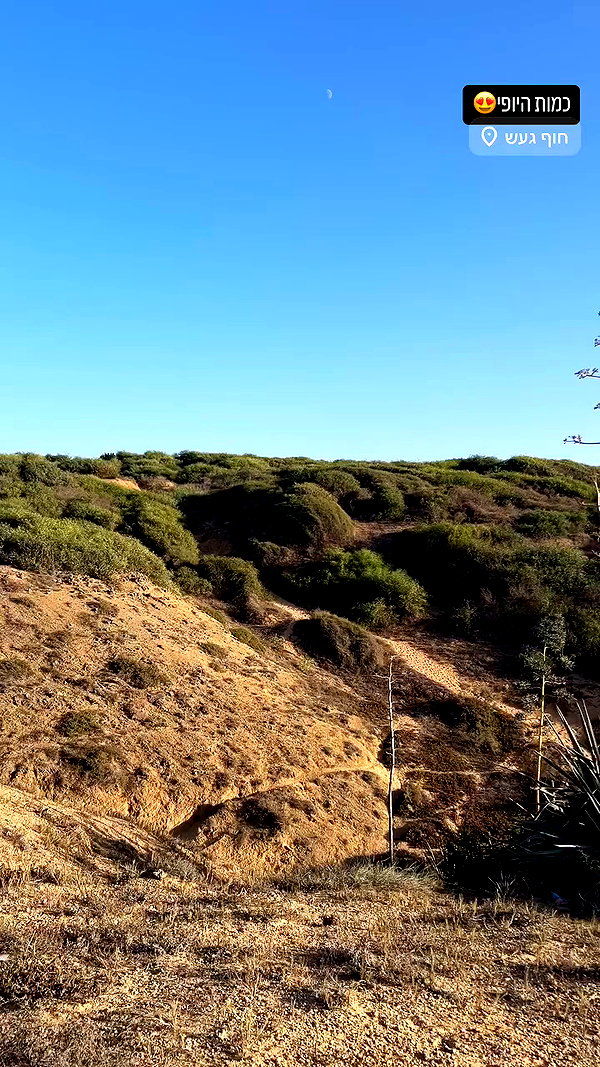 _.shelichka._ archive video preview