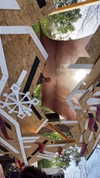 _lironatias Altpins Profile Picture