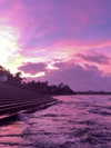 tgiangya Altpins Profile Picture