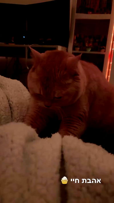 bbyerikss bbyerikss archive video