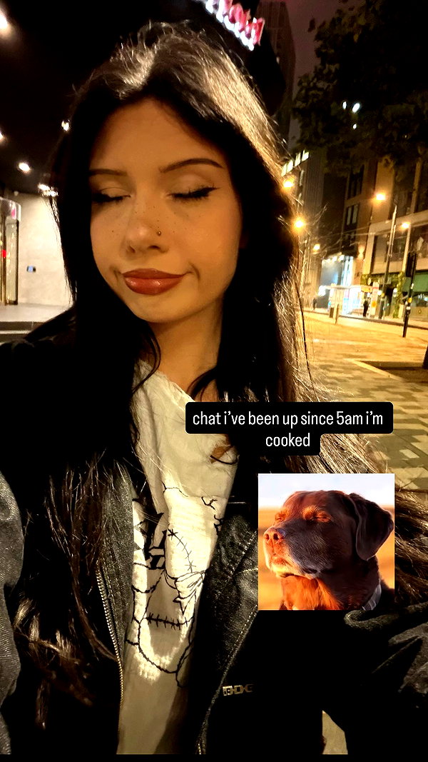 cherrycatxox archive video preview