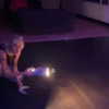 mileycyrus Altpins Profile Picture