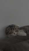 sonia_litvanchuk Altpins Profile Picture