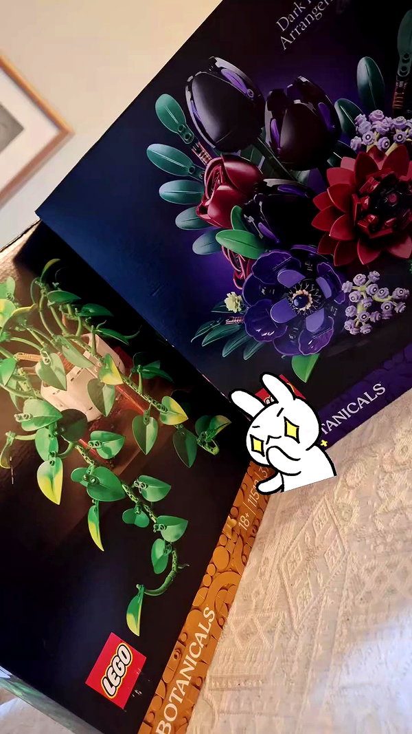 _ann.kim_ archive video preview