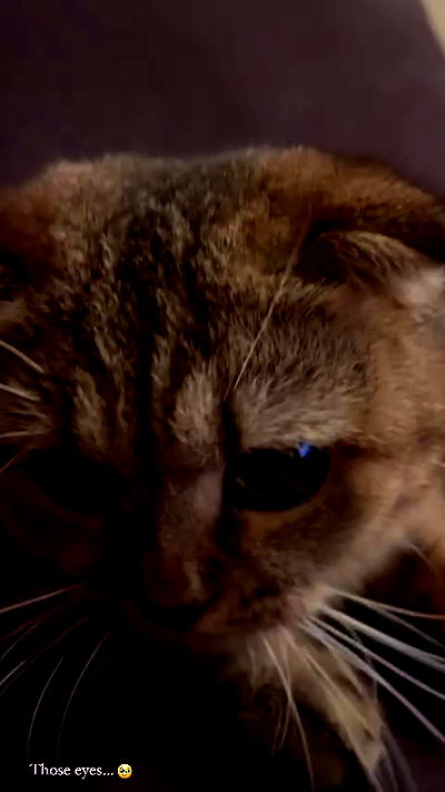 taylor.creeden taylor.creeden archive video