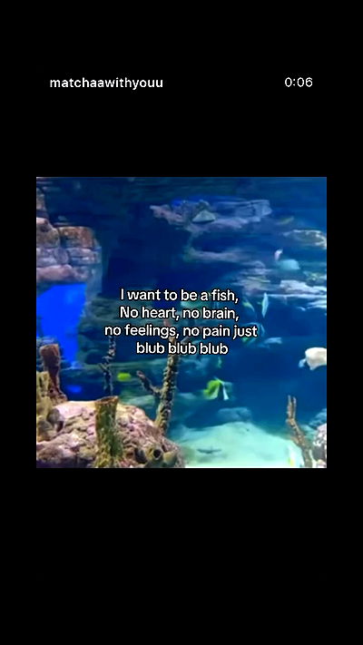 _lil_noa_ _lil_noa_ archive video