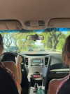 rouxroux.tv Altpins Profile Picture
