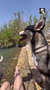 yaarat11 Altpins Profile Picture