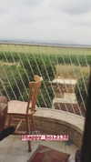evasela__ Altpins Profile Picture