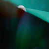 xtina Altpins Profile Picture