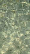 ruth_chavarri Altpins Profile Picture