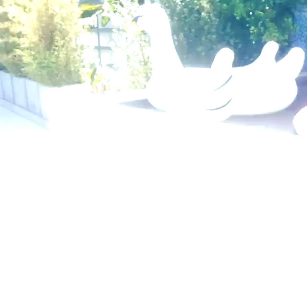 lilbieber archive video preview