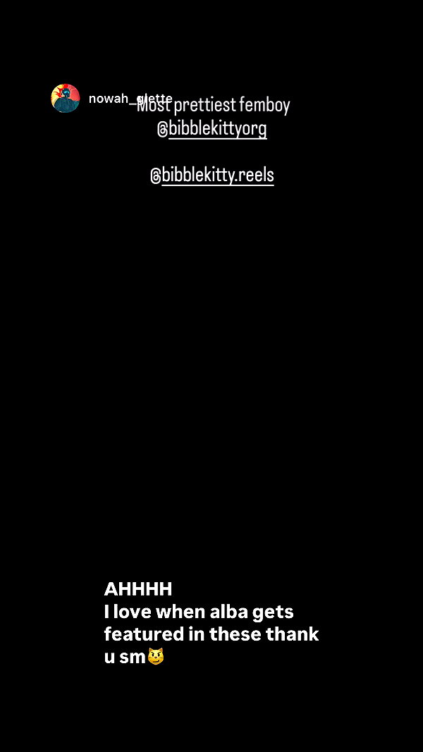 bibblekittyorg archive video preview