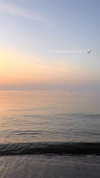 biancanataliie Altpins Profile Picture