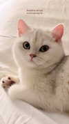 rachelchaleff Altpins Profile Picture