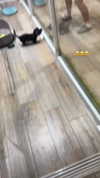 jaroslava_klavir Altpins Profile Picture