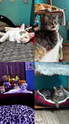 _ociaa_05 Altpins Profile Picture