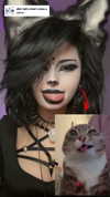 malmalirl Altpins Profile Picture
