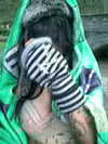 zommmbri Altpins Profile Picture