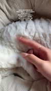 jiw_____n Altpins Profile Picture