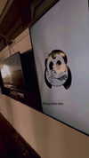 ilana.21 Altpins Profile Picture