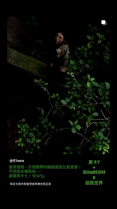 ting851204 ting851204 archive video