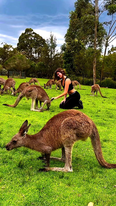 taylor.creeden taylor.creeden archive video