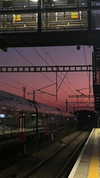 bulochka__777 Altpins Profile Picture