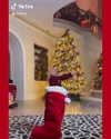 xtina Altpins Profile Picture