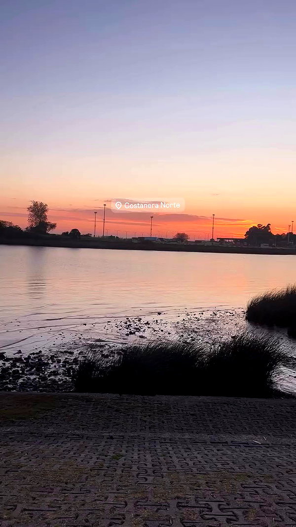 maii.ferreiraa archive video preview