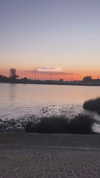 maii.ferreiraa Altpins Profile Picture