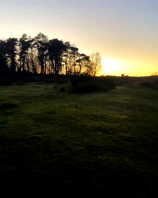 charley.chambers archive video preview