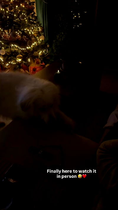 bakedsloths bakedsloths archive video