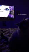 tiny.eviluv Altpins Profile Picture