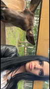 yanyluya Altpins Profile Picture
