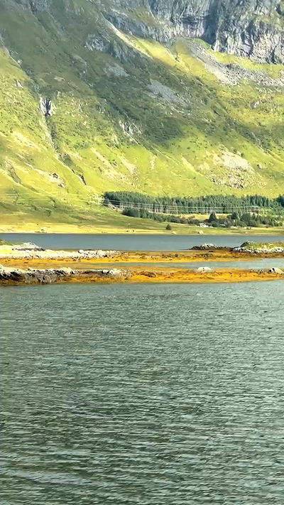 taylor.creeden taylor.creeden archive video