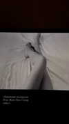 milena_milachich Altpins Profile Picture