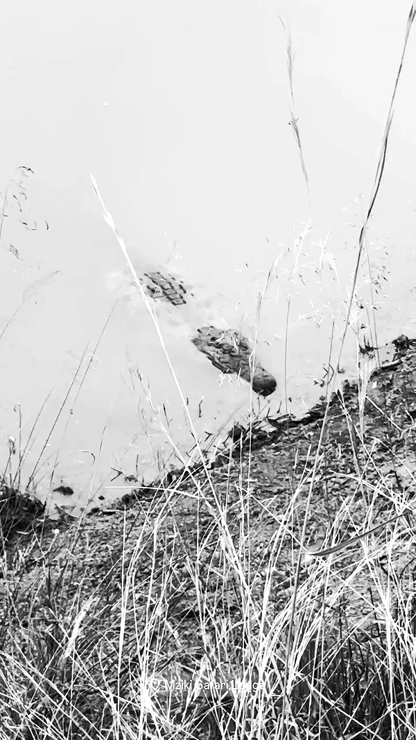 nina.kxs archive video preview