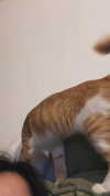 dante_yangpa Altpins Profile Picture