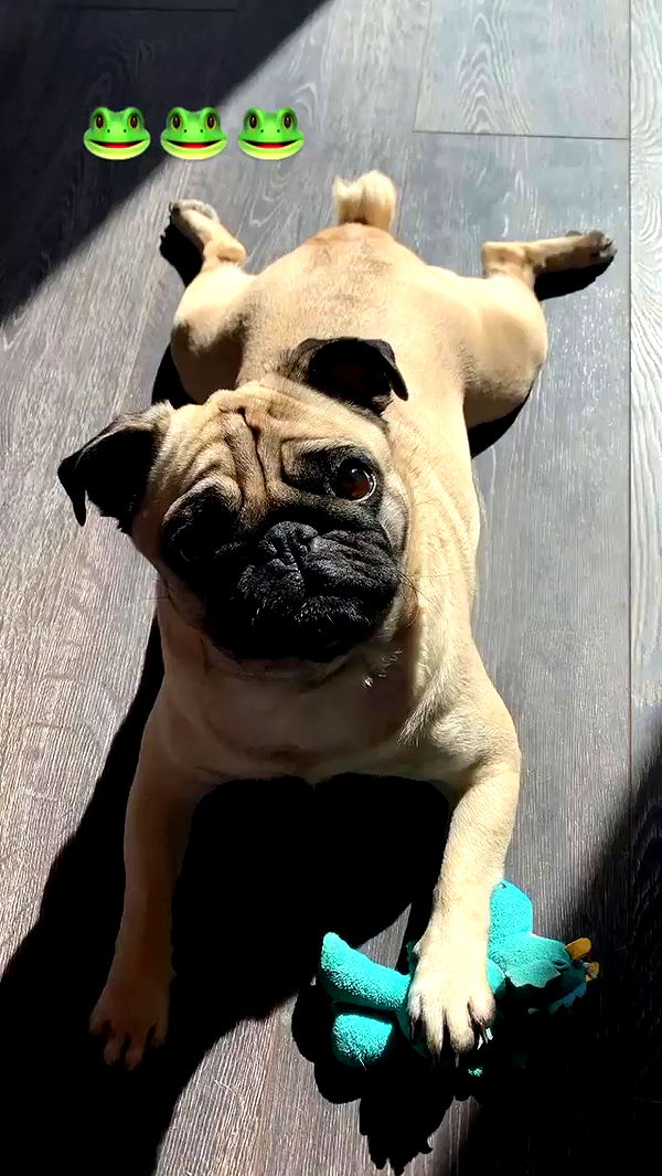 nyityam archive video preview